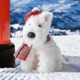 0876 Jellycat Winter Warmer Munro Scottie Dog 02