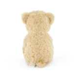 010 01 Snuggle Bunnies Arthur the Bear 36cm 07