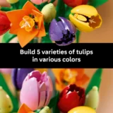 0241 Lego Botanicals Tulip Bouquet 11501 04