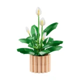 0242 Lego Botanicals Peace Lily 11504 01