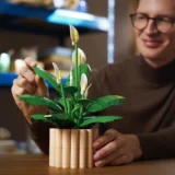 0242 Lego Botanicals Peace Lily 11504 02