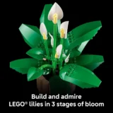 0242 Lego Botanicals Peace Lily 11504 05