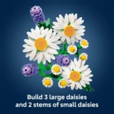 0243 Lego Botanicals Daisies 11508 04