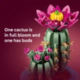 0244 Lego Botanicals Flowering Cactus 11509 05