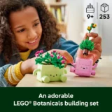 0320 Lego Botanicals Rocking Plants 11506 03