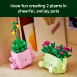 0320 Lego Botanicals Rocking Plants 11506 04