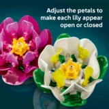 Two Colorful Plastic Lily Puzzles with Adjustable Petals on a Teal Background Caption About Opening or Closing Petals